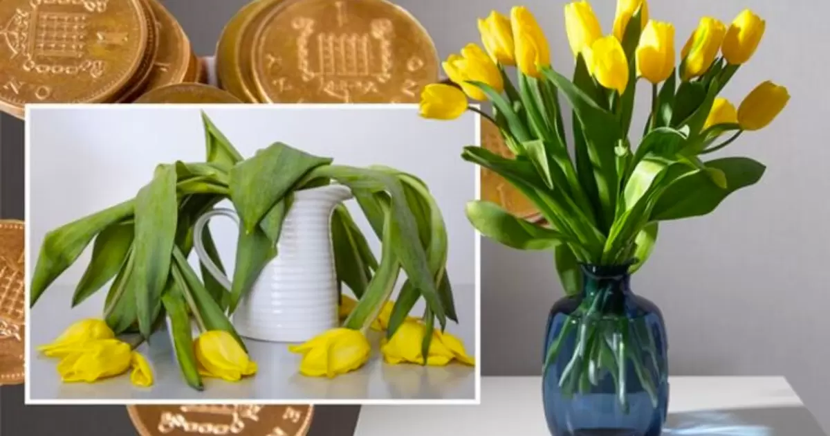 5 Quick Tricks On How To Stop Tulips Drooping In A Vase