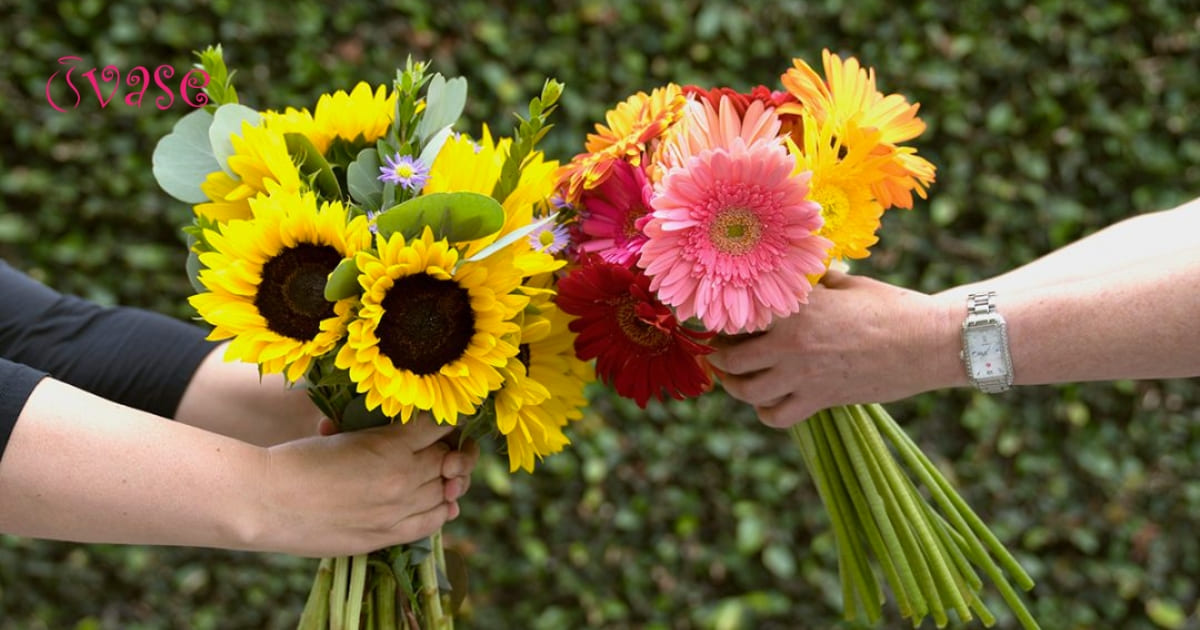 Flowers That Symbolise Friendship