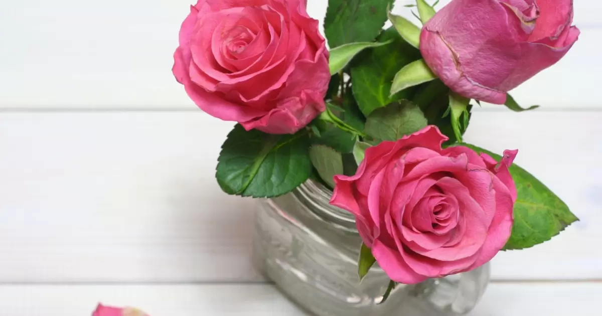 How Long Do Roses Last In A Vase Complete Guide With Tips And Tricks