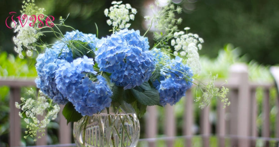 How To Arrange Hydrangeas In Vase