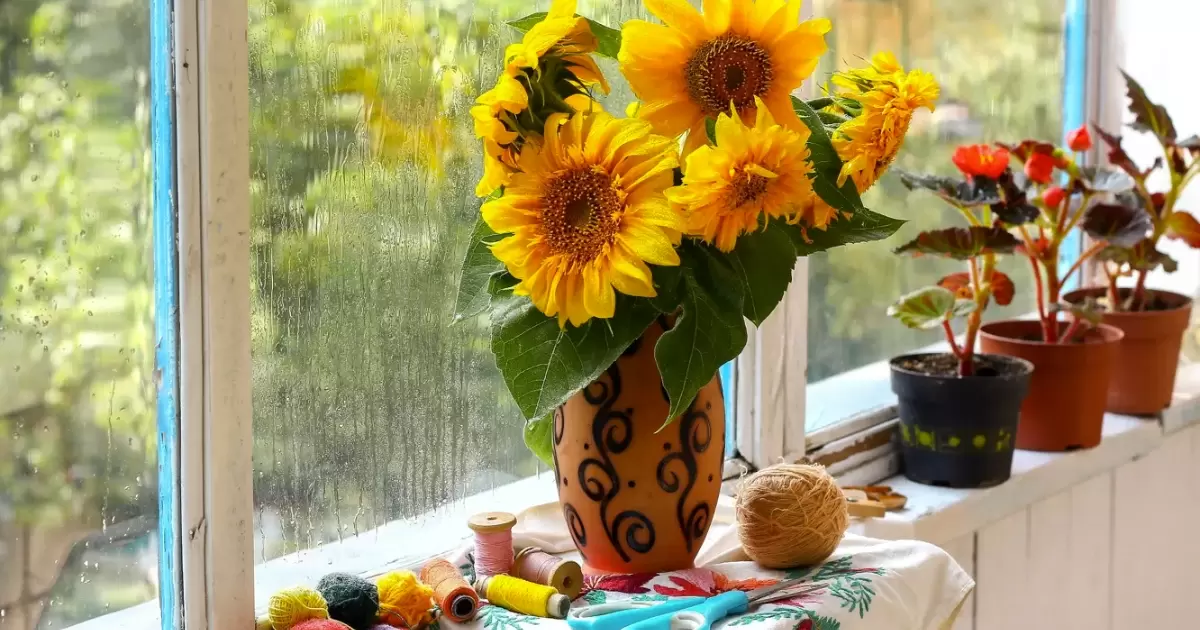 How To Care For Sunflowers In A Vase?