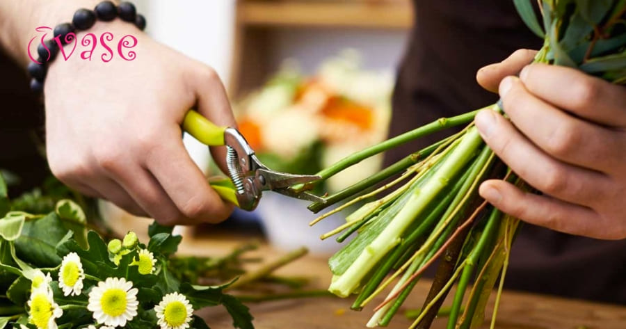 How To Cut Daisies For A Vase