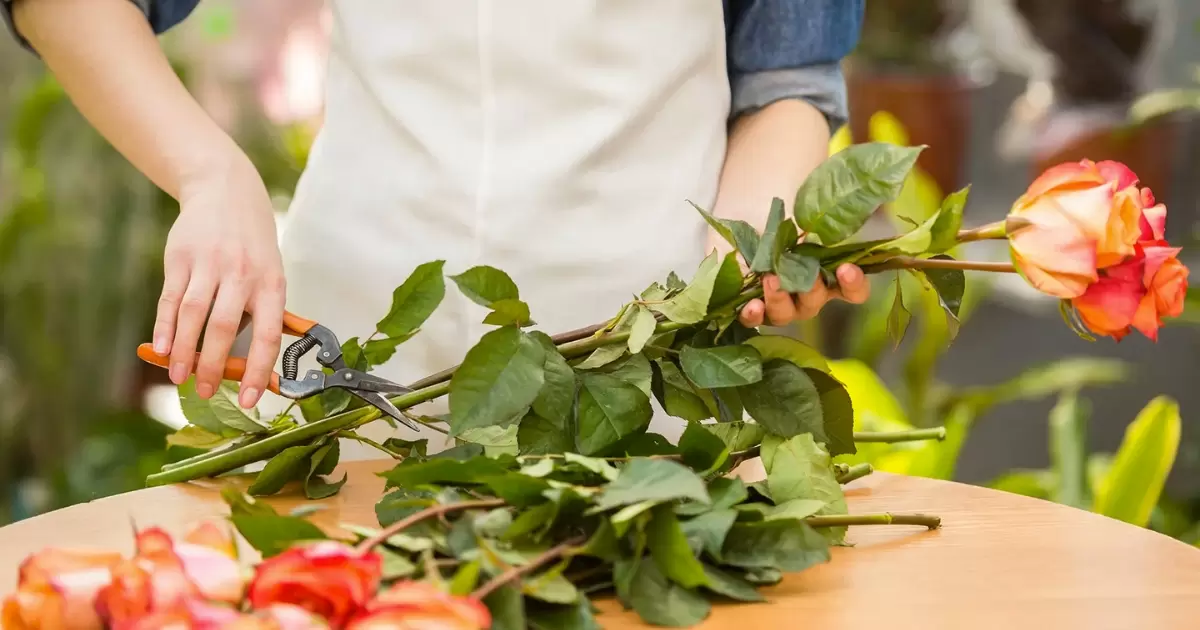 How To Cut Long Stem Roses For A Vase?