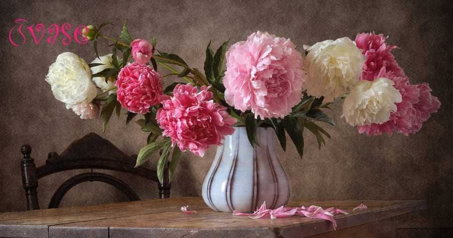 How To Cut Peonies For Vase