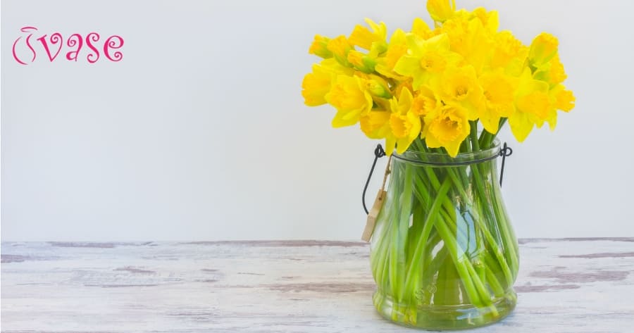 How To Keep Daffodils Alive In A Vase