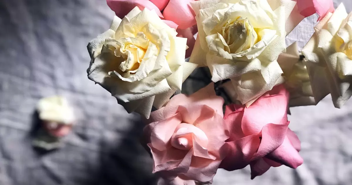 How To Reflex Roses in Bouquet?